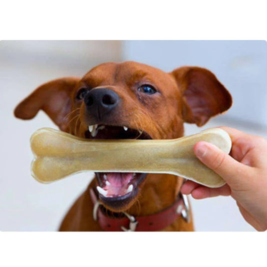 Dog Bone Chews