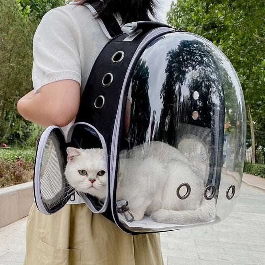 Cat Transparent Backpack