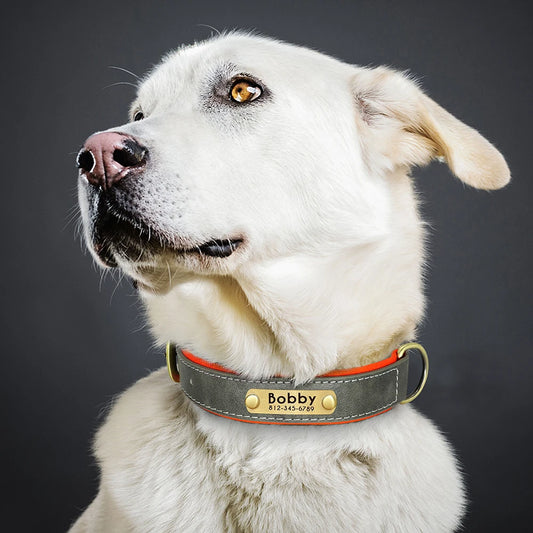 Custom Leather Dog Collar Softly Padded