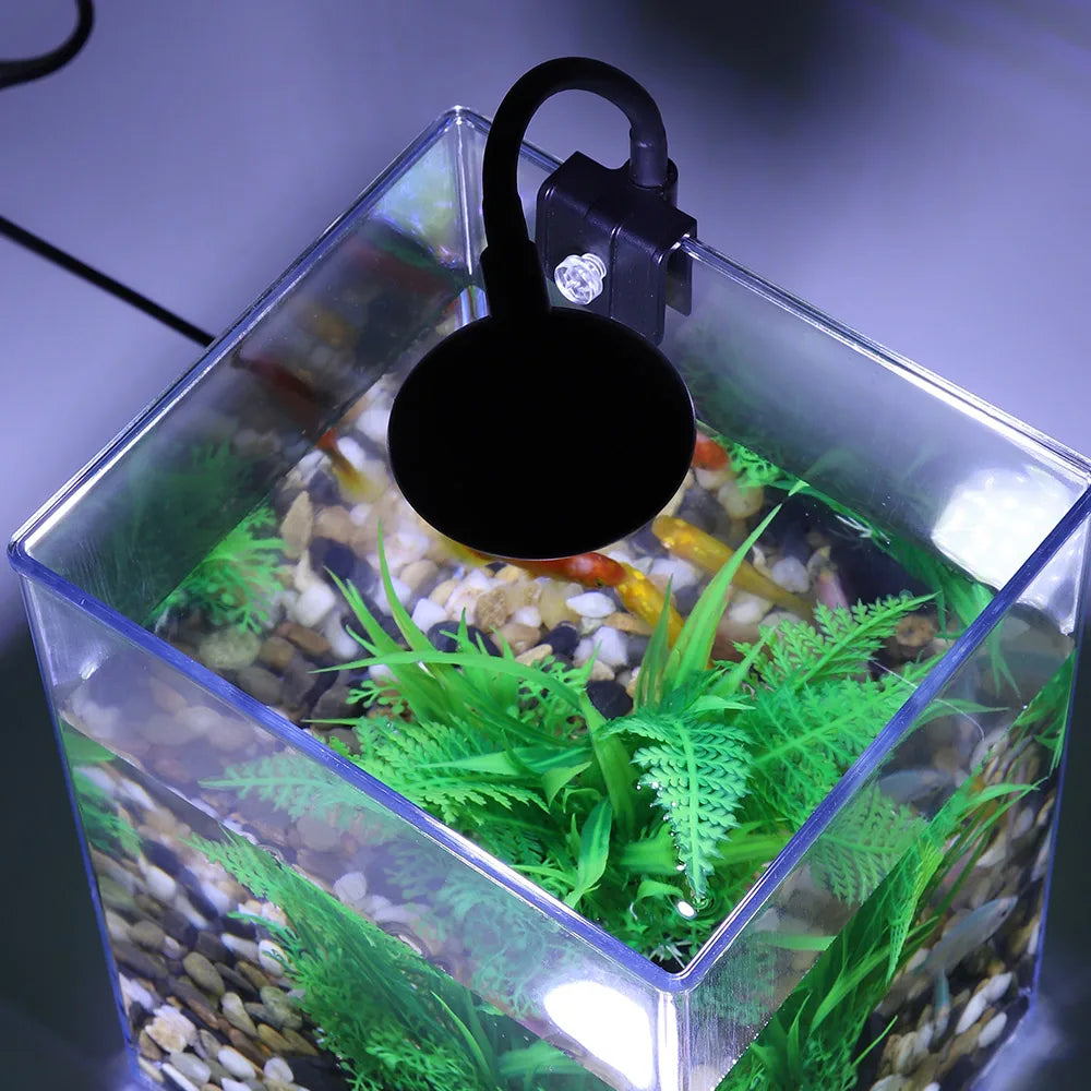 USB Desktop Fish Tank Set-Easy To Install Pet Friendly Supplies