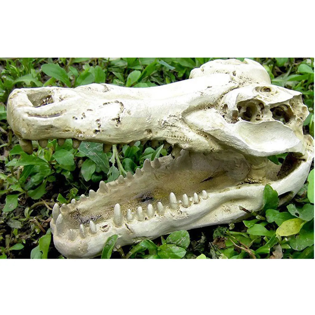 Dragon Resin Aquarium/Terrarium Decoration Crocodile Skull Pet Friendly Supplies