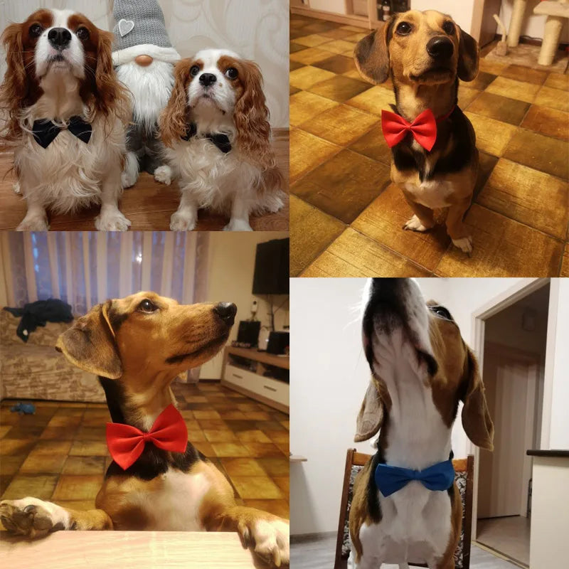 Sophisticated Adjustable Bow Tie For Dogs - Pet Friendly Supplies