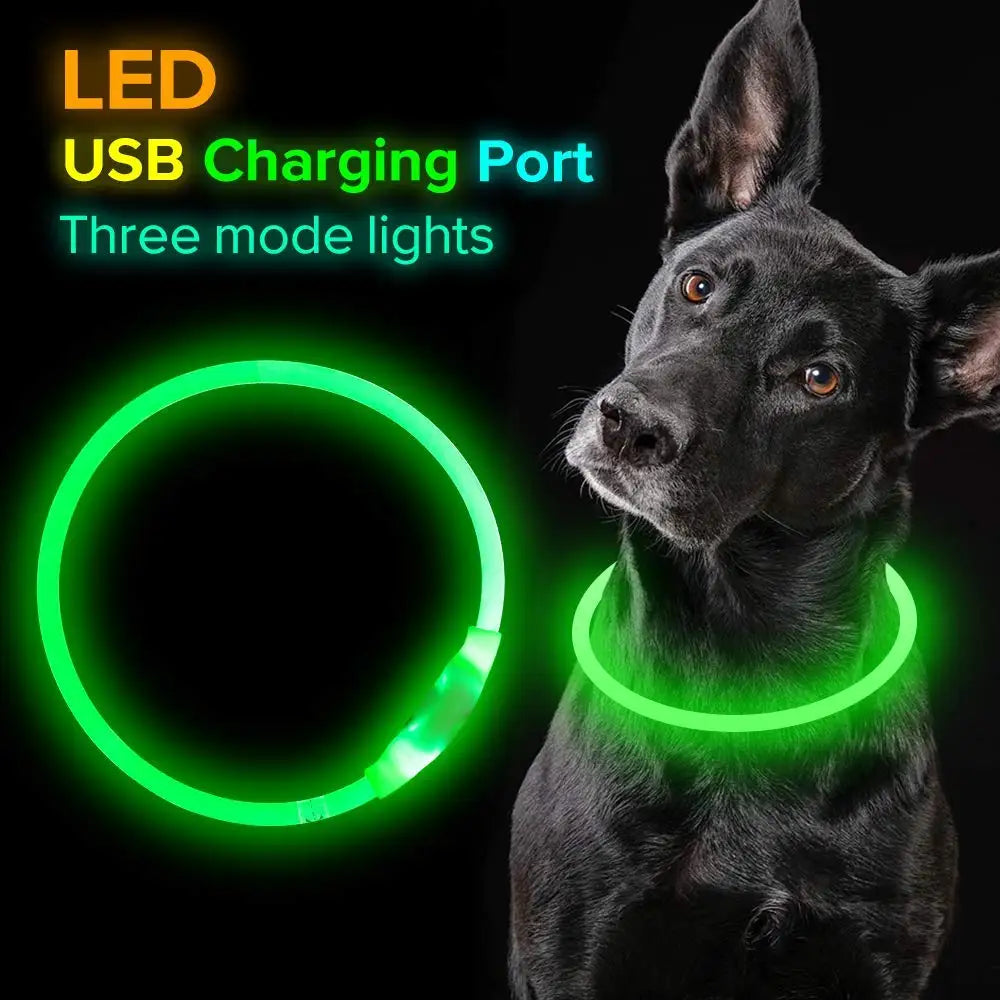 Bright Led Night Walking Dog Collar - Pet Friendly Supplies