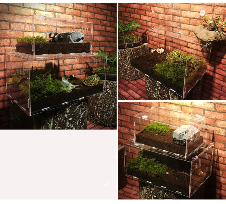 Quality Acrylic Vivarium Multiple Options - Pet Friendly Supplies