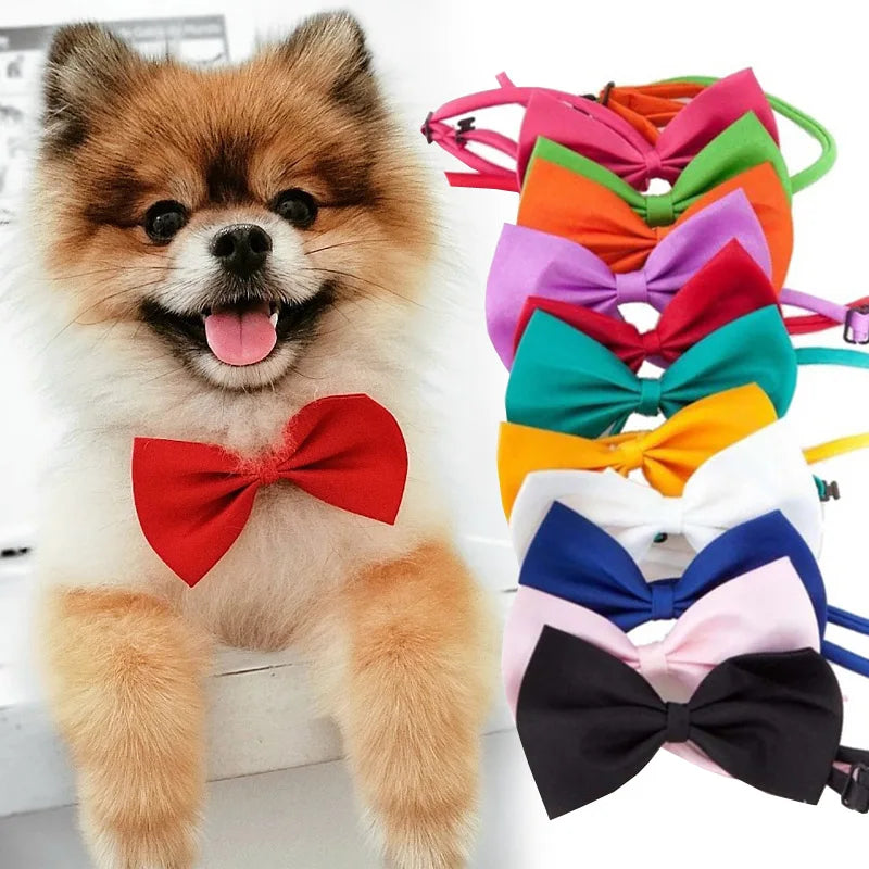 Sophisticated Adjustable Bow Tie For Dogs - Pet Friendly Supplies