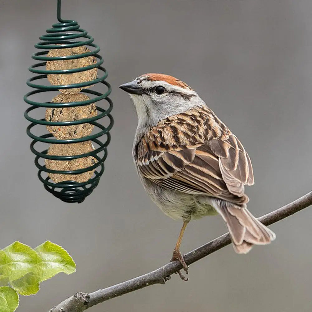 Multiple Styles Of Bird Feeders. Find The One That Suits You - Pet Friendly Supplies