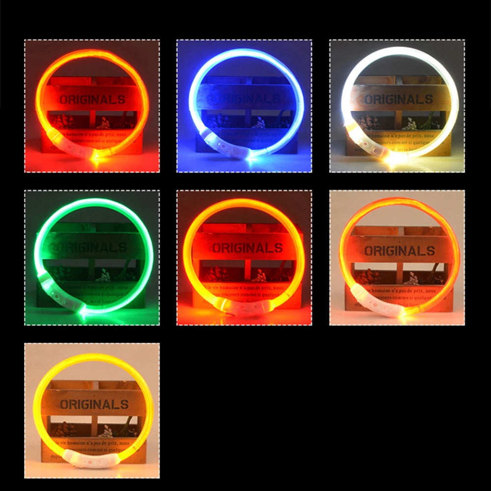 Bright Led Night Walking Dog Collar - Pet Friendly Supplies