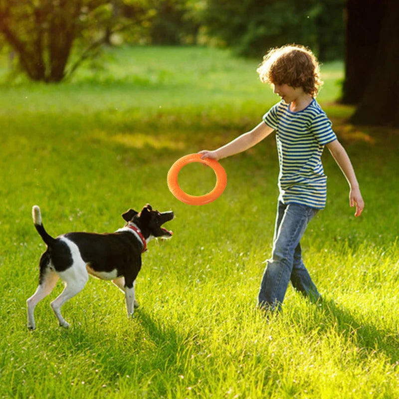 Interactive Training Ring Puller Resistant for Dogs Pet Friendly Supplies