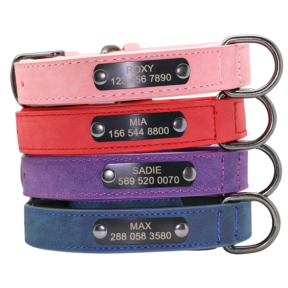 Beautiful Swede Personalised Dog Collar - Pet Friendly Supplies