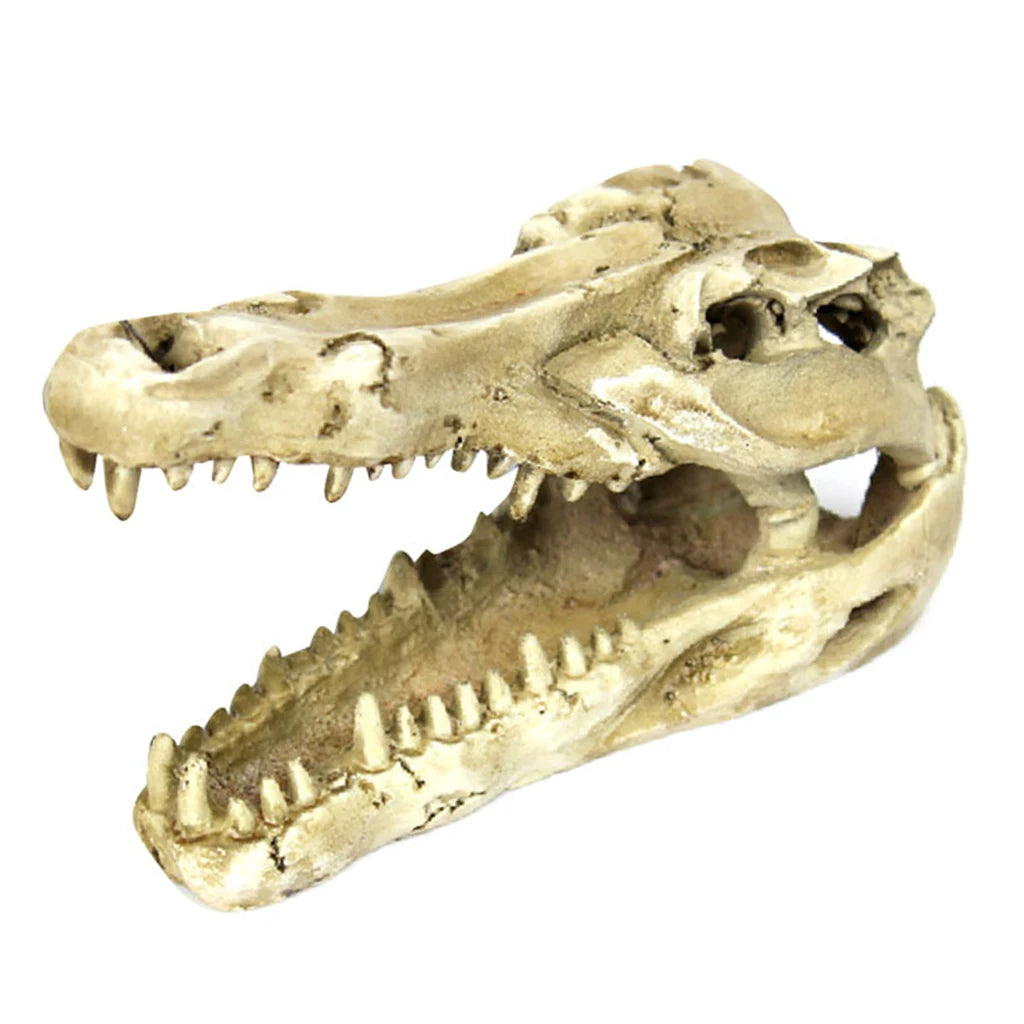 Dragon Resin Aquarium/Terrarium Decoration Crocodile Skull Pet Friendly Supplies