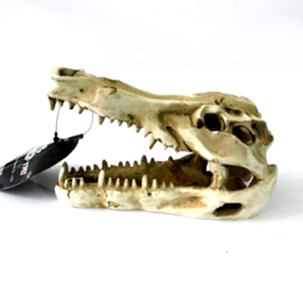 Dragon Resin Aquarium/Terrarium Decoration Crocodile Skull Pet Friendly Supplies