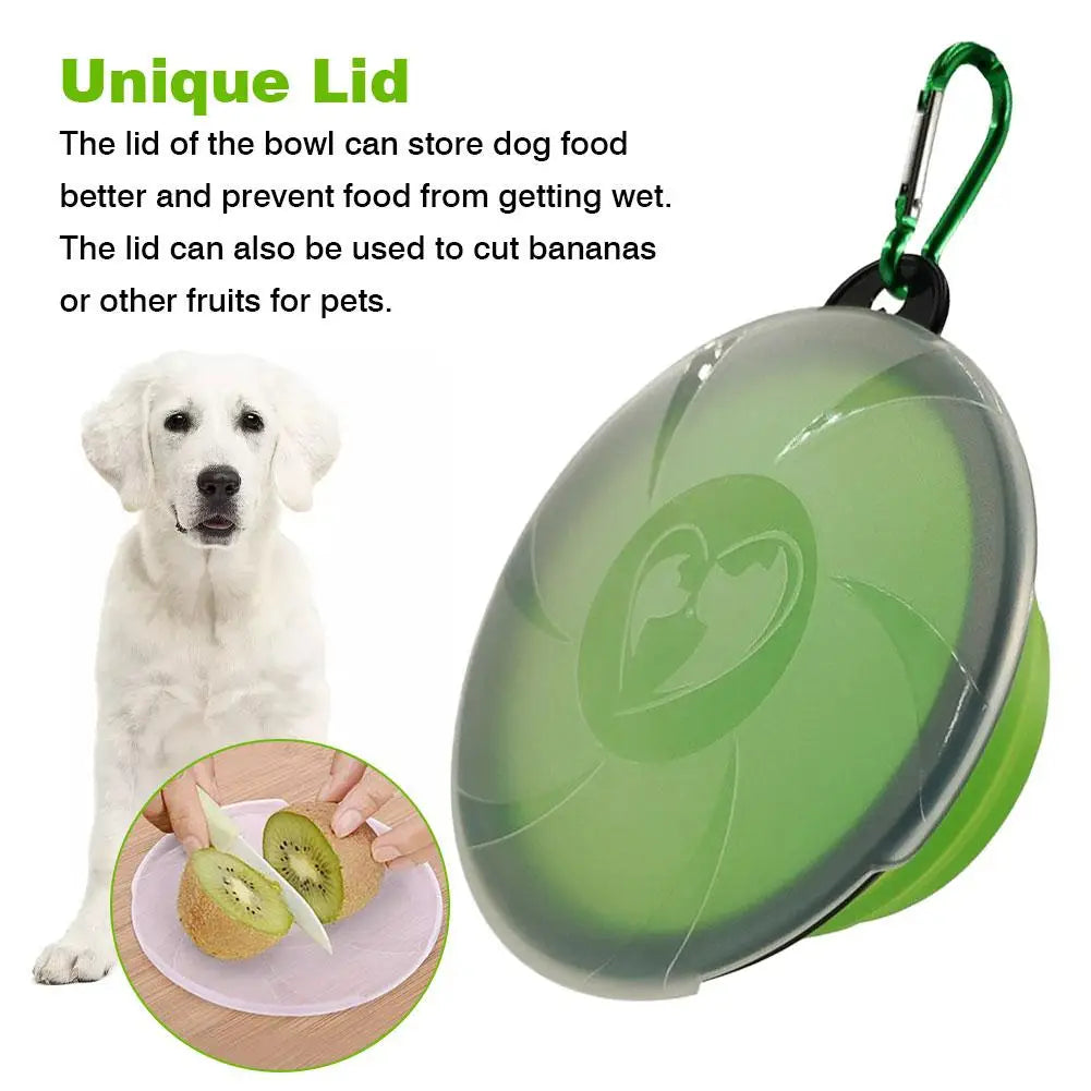 Collapsible Travel Dog Bowls Pet Friendly Supplies