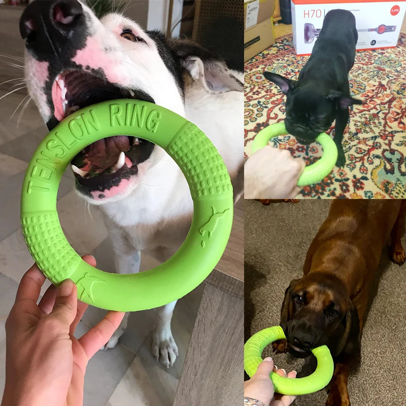 Interactive Training Ring Puller Resistant for Dogs Pet Friendly Supplies