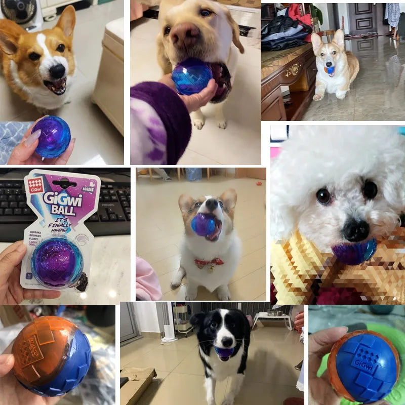 Natural Non-toxic Rubber Ball Pet Friendly Supplies