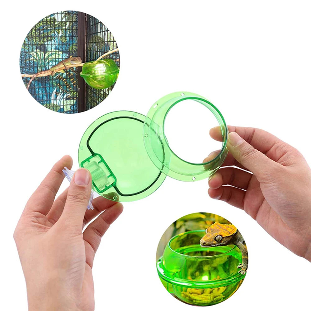 Reptile Water Bowl/Feeding Dish Suction Cup Reptile Feeder Pet Friendly Supplies