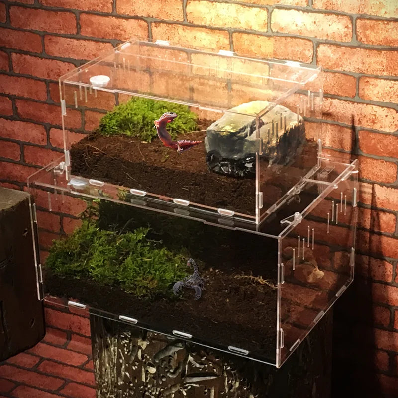 Quality Acrylic Vivarium Multiple Options - Pet Friendly Supplies