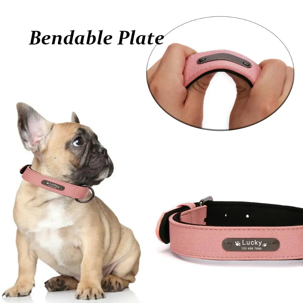 Luxury Leather Dog Collar Personalized for Small & Large Dogs - Pet Friendly Supplies