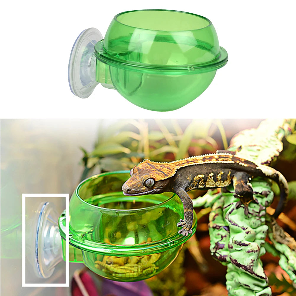 Reptile Water Bowl/Feeding Dish Suction Cup Reptile Feeder Pet Friendly Supplies