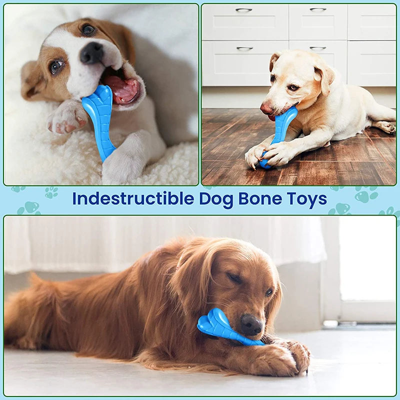 Eco- Friendly, Durable Dog Bone - Pet Friendly Supplies