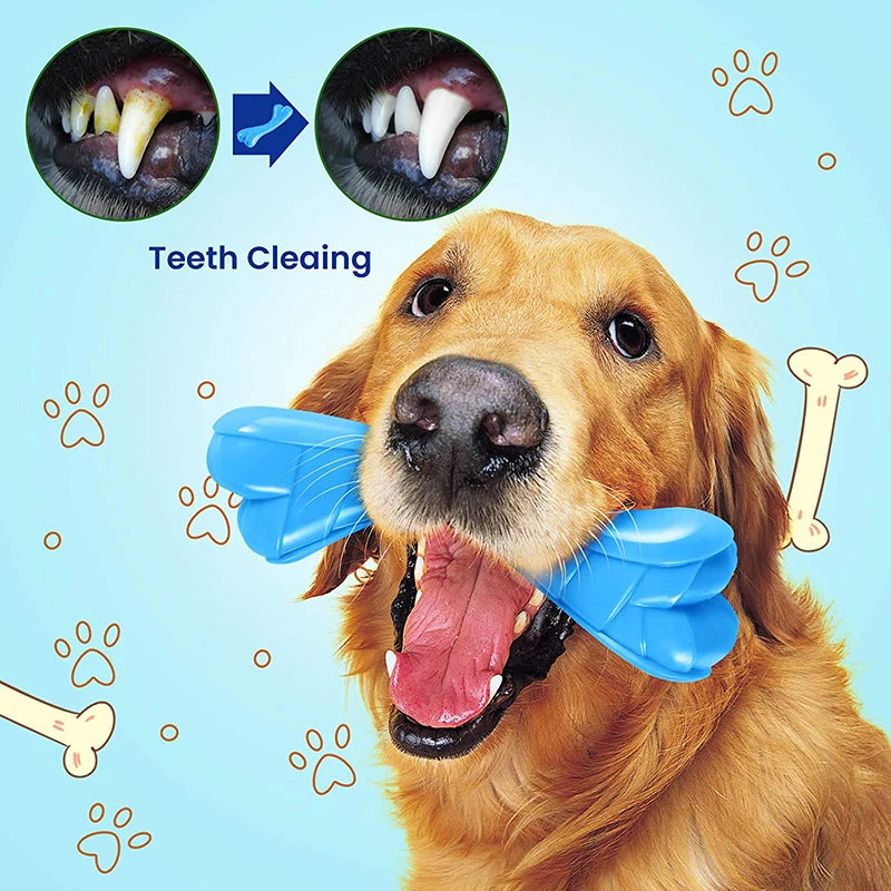 Eco- Friendly, Durable Dog Bone - Pet Friendly Supplies