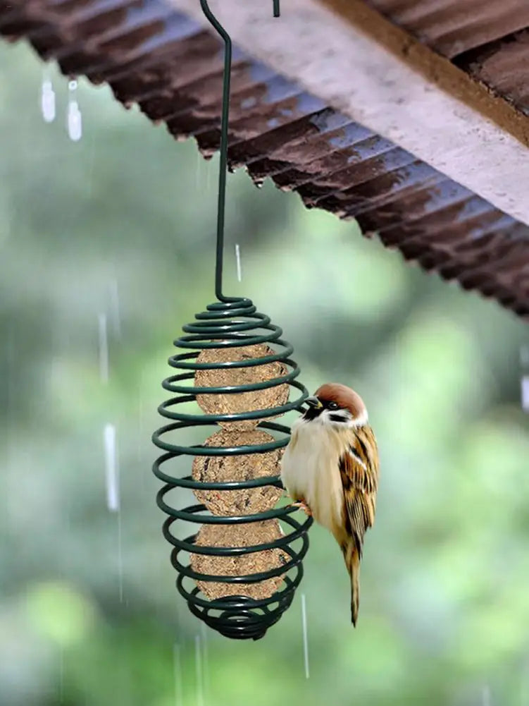 Multiple Styles Of Bird Feeders. Find The One That Suits You - Pet Friendly Supplies