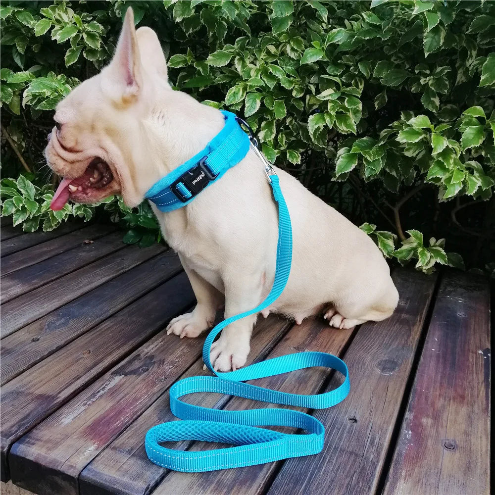 Reflective Dog Collar - Pet Friendly Supplies