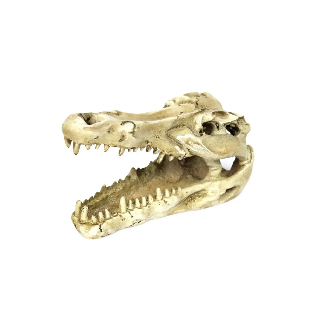 Dragon Resin Aquarium/Terrarium Decoration Crocodile Skull Pet Friendly Supplies