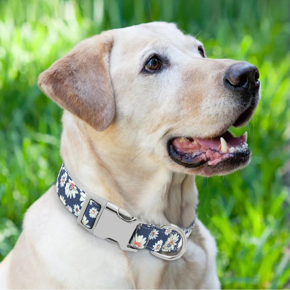 Pretty  Floral Personalised Dog Collar - Pet Friendly Supplies