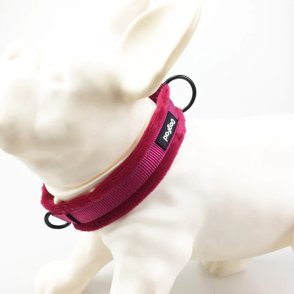 Reflective Dog Collar - Pet Friendly Supplies