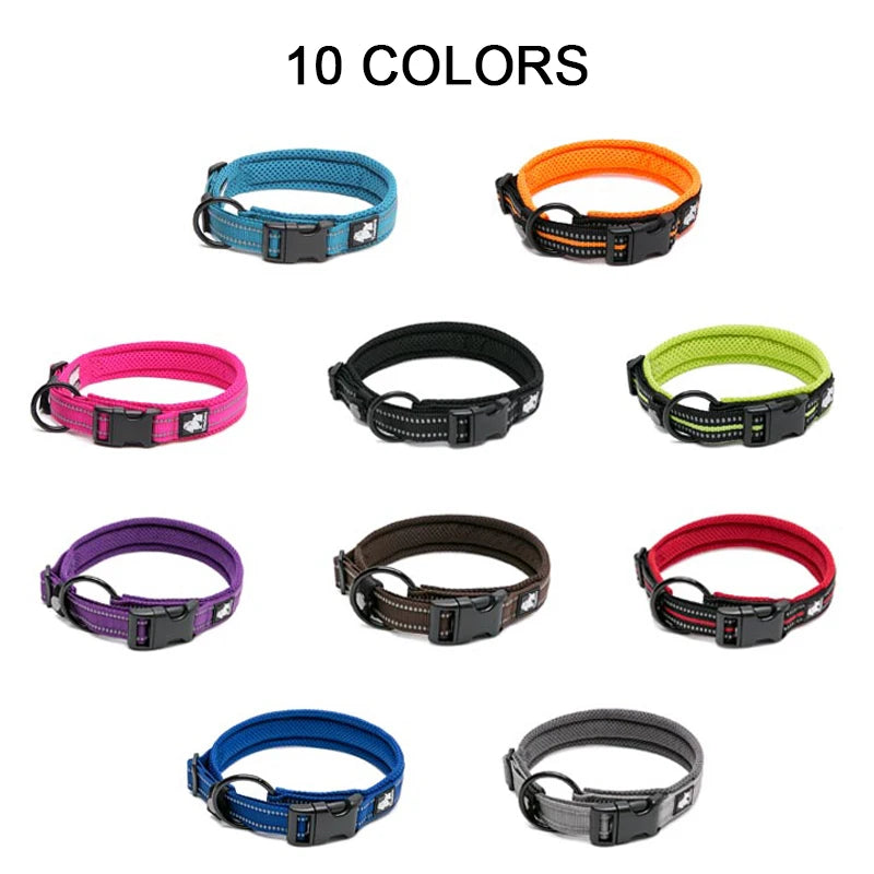 Truelove Reflective Padded Dog Collar - Pet Friendly Supplies