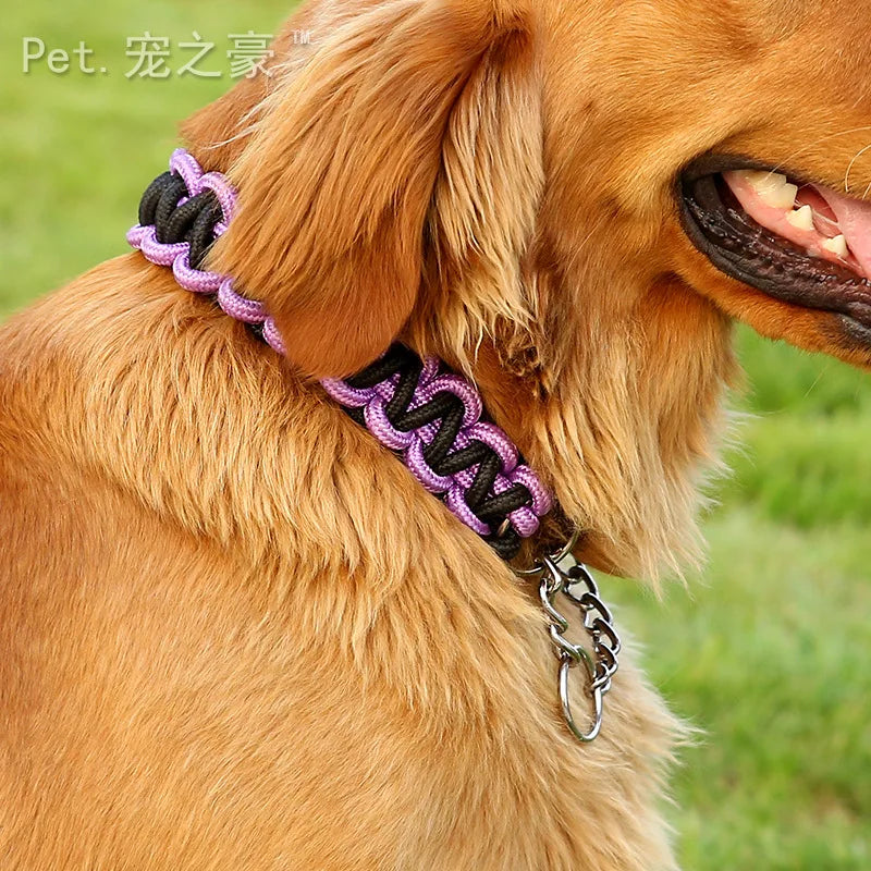 High Quality Color Pinch Chain Collar Pet Friendly Supplies