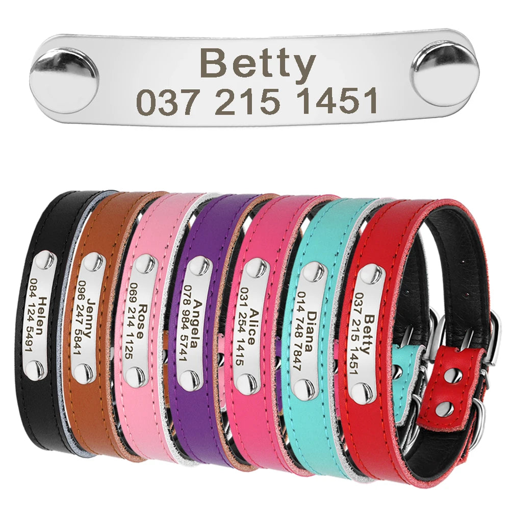 Beautiful Solid Leather Personalised Dog Collar - Pet Friendly Supplies