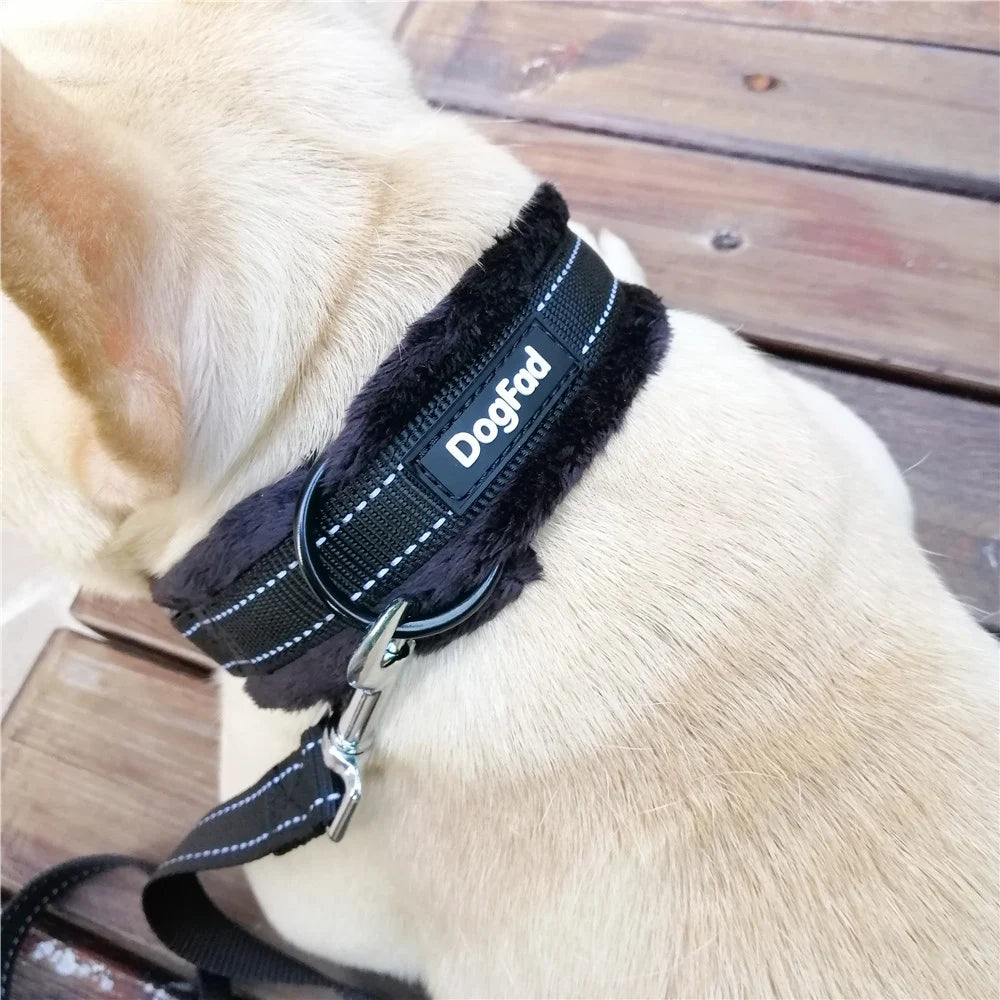 Reflective Dog Collar - Pet Friendly Supplies