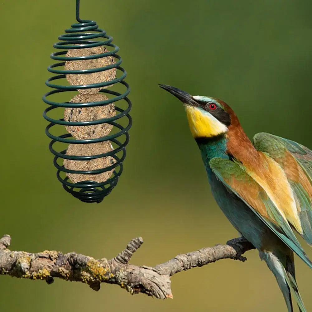 Multiple Styles Of Bird Feeders. Find The One That Suits You - Pet Friendly Supplies