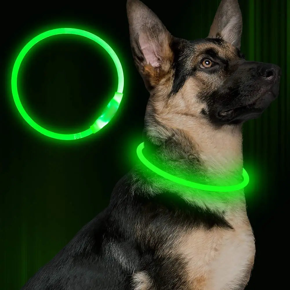 Bright Led Night Walking Dog Collar - Pet Friendly Supplies