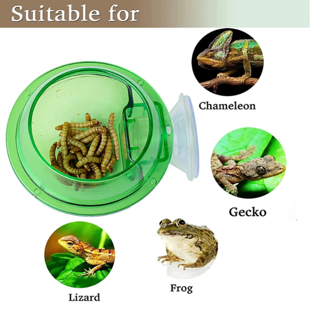 Reptile Water Bowl/Feeding Dish Suction Cup Reptile Feeder Pet Friendly Supplies