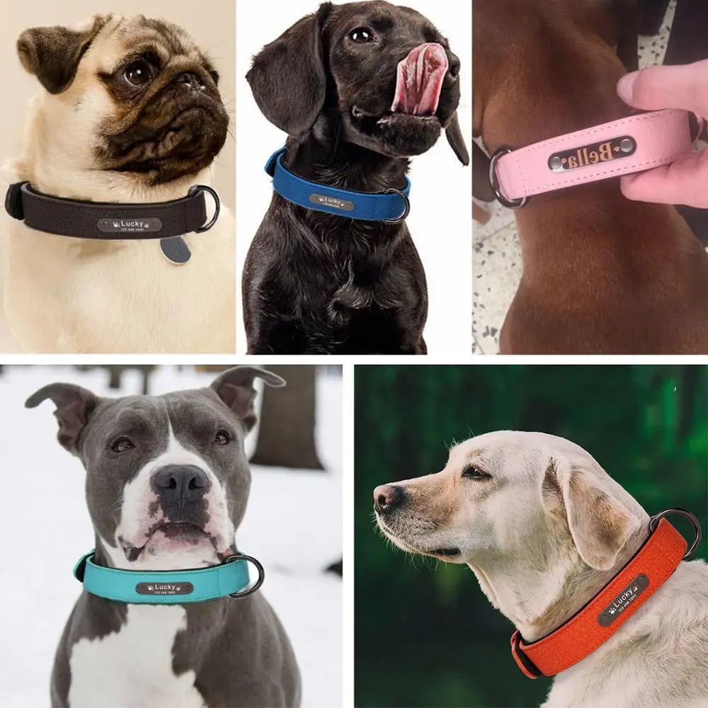 Luxury Leather Dog Collar Personalized for Small & Large Dogs - Pet Friendly Supplies