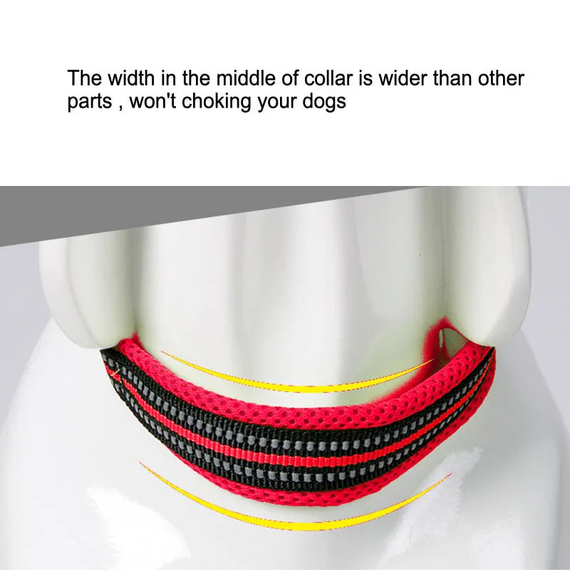 Truelove Reflective Padded Dog Collar - Pet Friendly Supplies