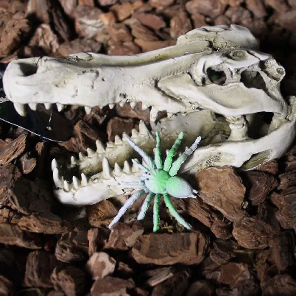 Dragon Resin Aquarium/Terrarium Decoration Crocodile Skull Pet Friendly Supplies