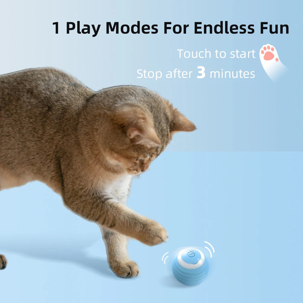 Cat Interactive Ball Pet Friendly Supplies