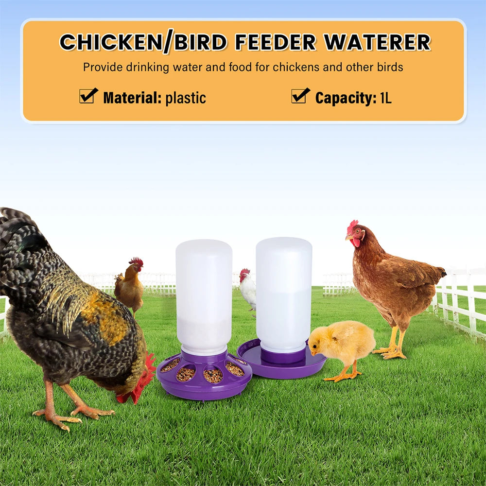 1L Chicken Feeder Bucket Water Fountain - Pet Friendly Supplies