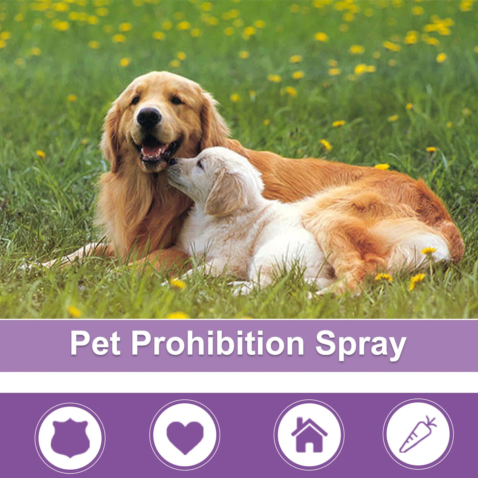 Calming Spray For Pets Safe Healthy Calming Diffuser Pet Friendly Supplies