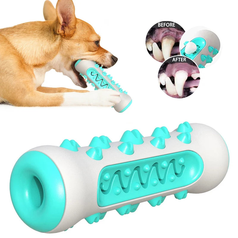 Squeaky Clean Durable Dog Molar Toothbrush Toy. - Pet Friendly Supplies