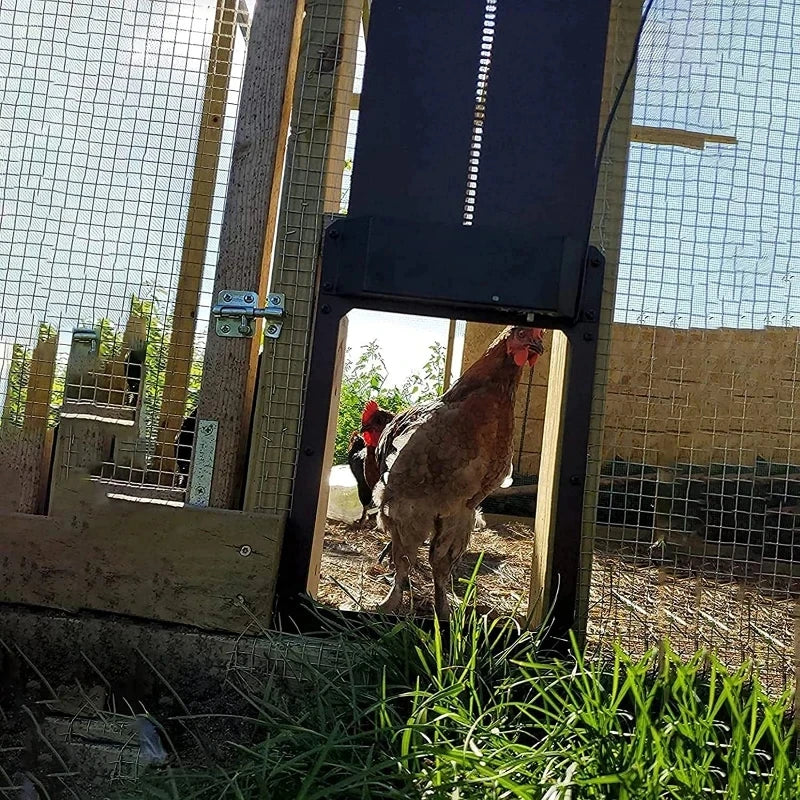 Automatic Chicken Coup Door Light-sensitive Chicken House Door - Pet Friendly Supplies