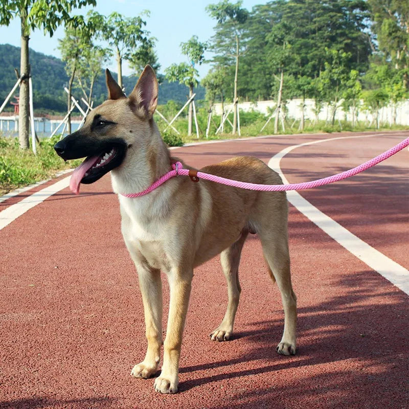 Premium Quality Strong 6 FT Training Rope Slip Leash Pet Friendly Supplies