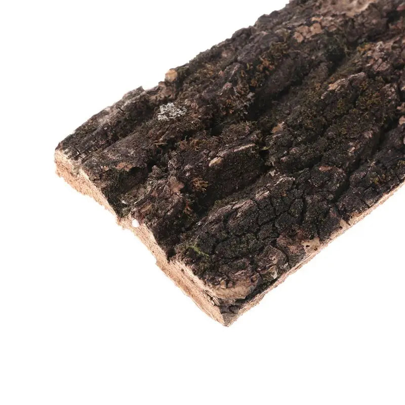 Natural Cork Bark Flat Reptile Terrarium Background Decoration Pet Friendly Supplies