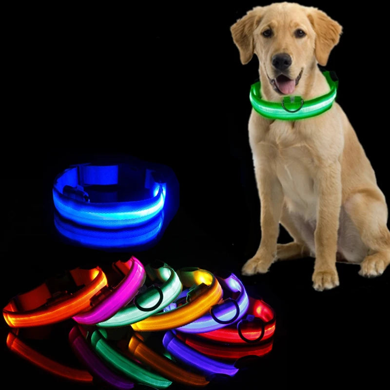 Luminous Led Collar Pet Friendly Supplies