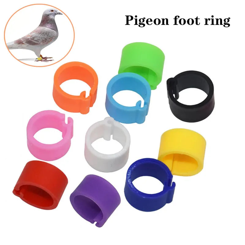 Chicken Foot Rings Label Clasp Plastic Adjustable Poultry Leg Snap Ratchet Clip - Pet Friendly Supplies