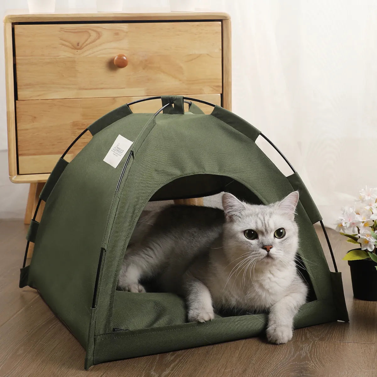 Clamshell Kitten Tents Bed Pet Friendly Supplies