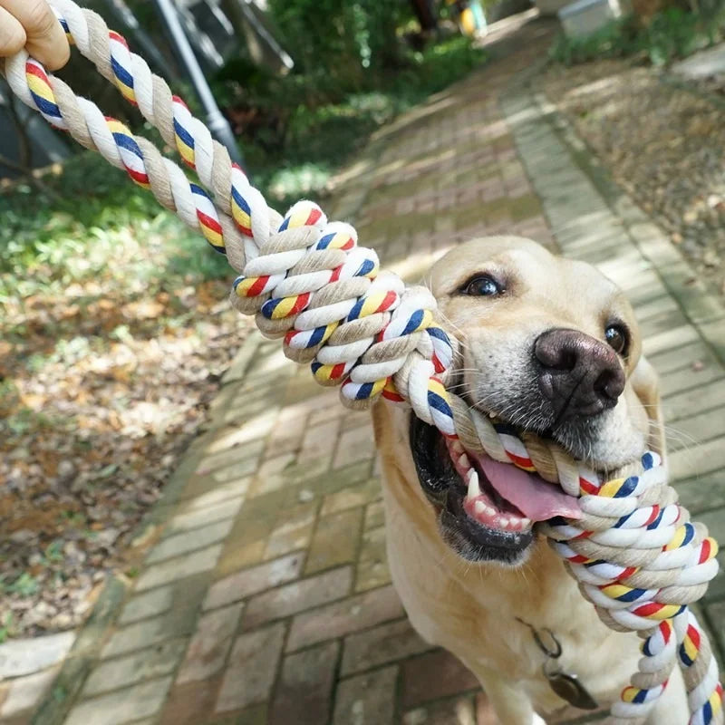 60CM Bite Molar Tooth rope dog toy Pet Friendly Supplies